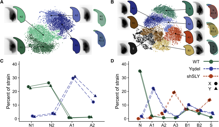 Figure 3