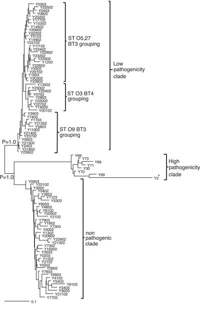 FIG. 2.