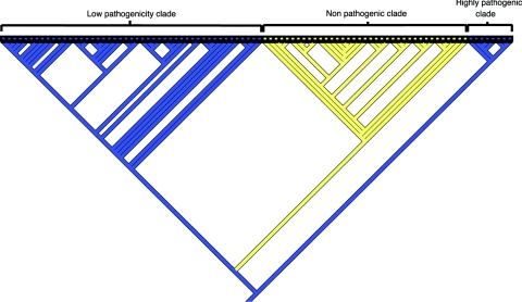 FIG. 3.