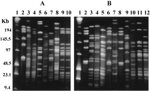 FIG. 1.