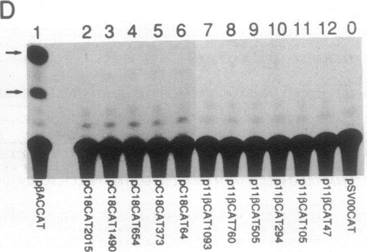 graphic file with name pnas01078-0320-d.jpg