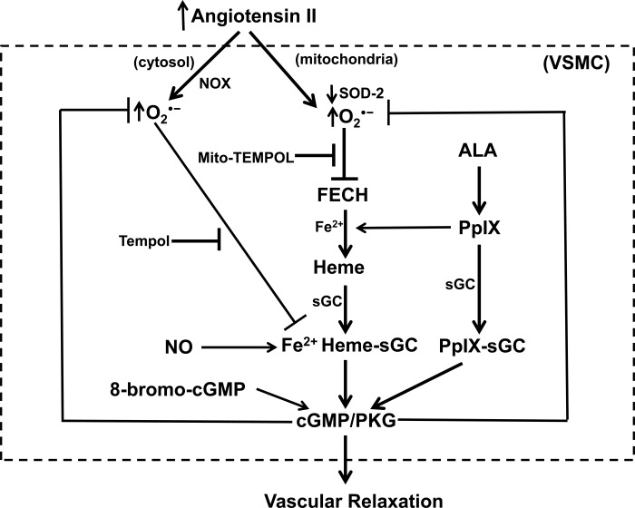 Fig. 9.