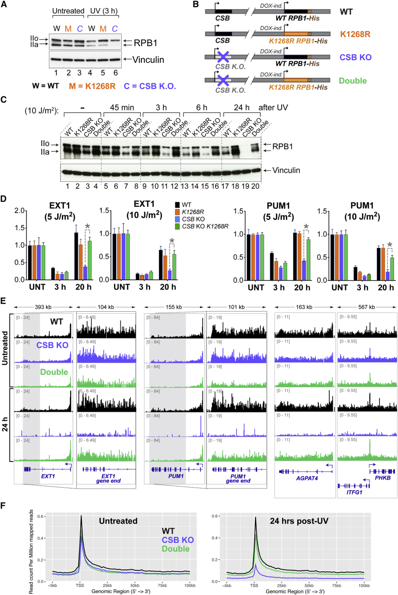 Figure 6