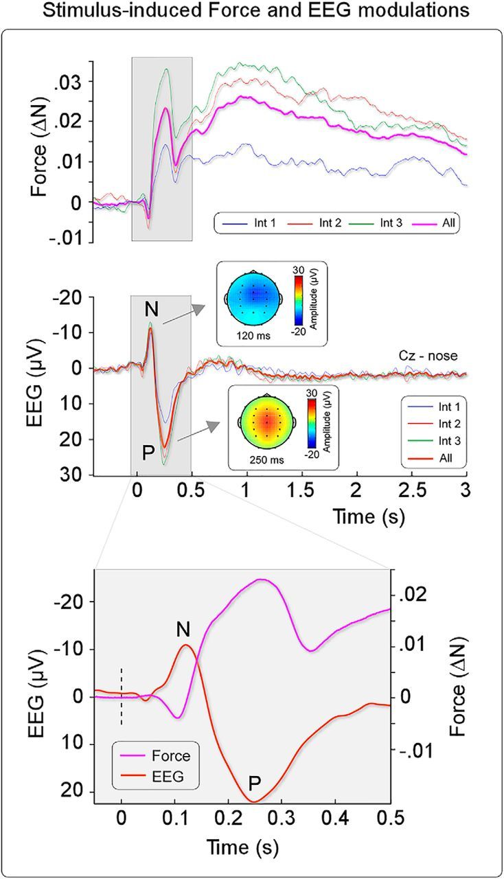 Figure 4.