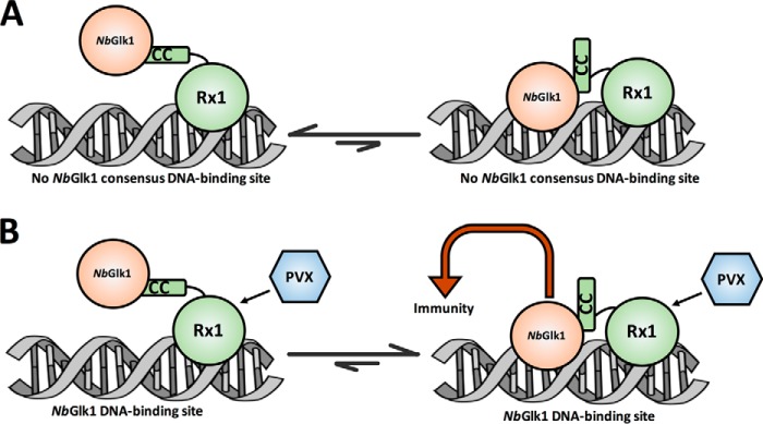 Figure 9.