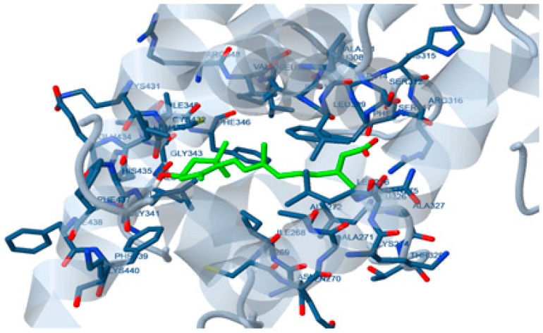 Figure 2