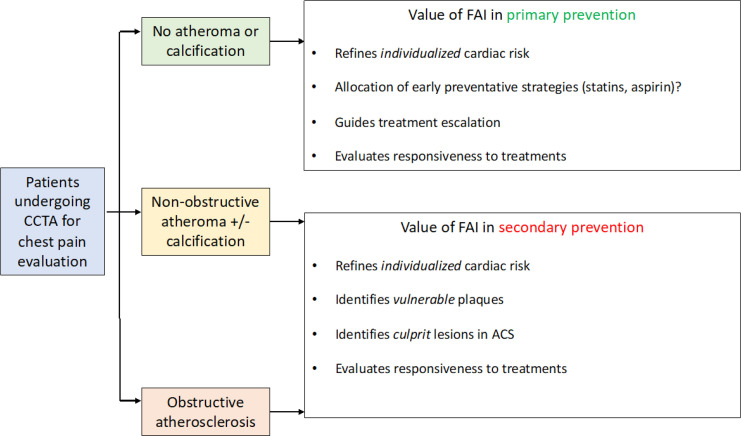 The potential role of the fat attenuation index (FAI) in primary and secondary prevention. The FAI has clinical value in patients both without and with established coronary artery disease (primary and secondary prevention, respectively), in which it can help refine cardiovascular risk, allocate preventative interventions, guide treatment escalation, evaluate responsiveness to treatment and even identify vulnerable plaques. ACS = acute coronary syndromes, CCTA = coronary CT angiography.