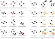 Schematic diagrams illustrating the role of acoustic signals (red circles) and movement cues (yellow circles) in coordinating activities in group-living animals.