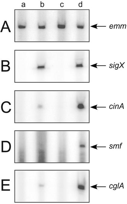 FIG. 5.