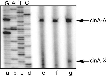 FIG. 6.