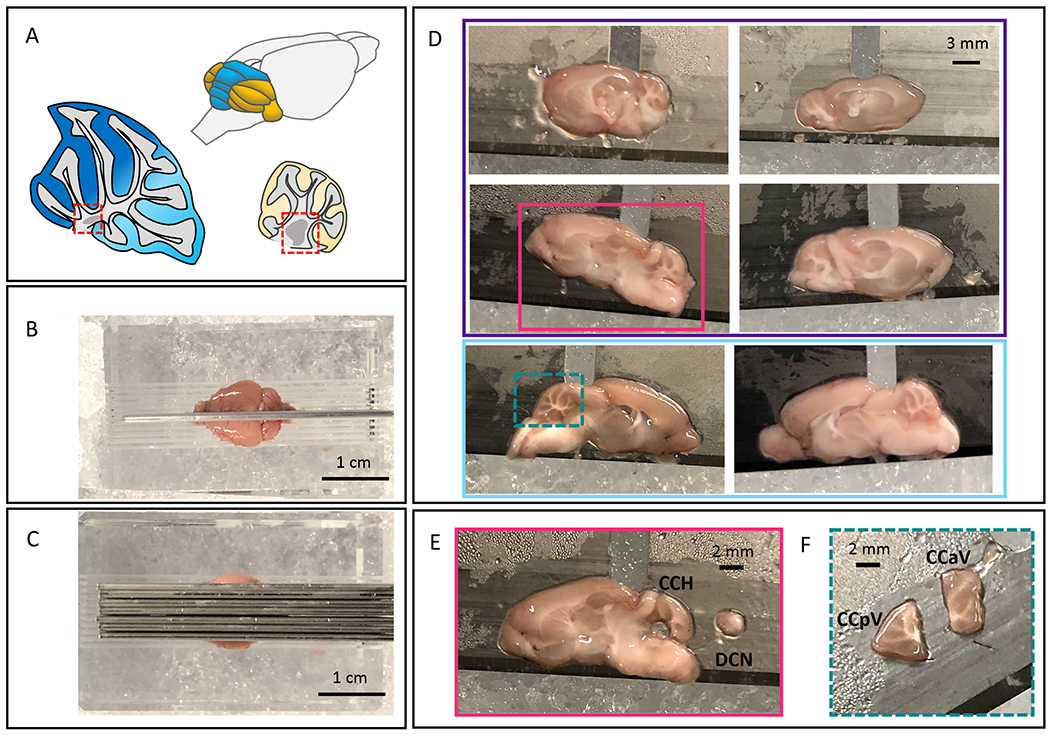 Figure 1: