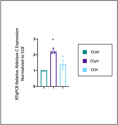 Figure 3: