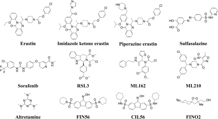 FIGURE 2