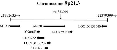 Fig. 1