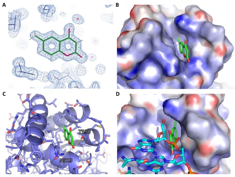 Figure 4