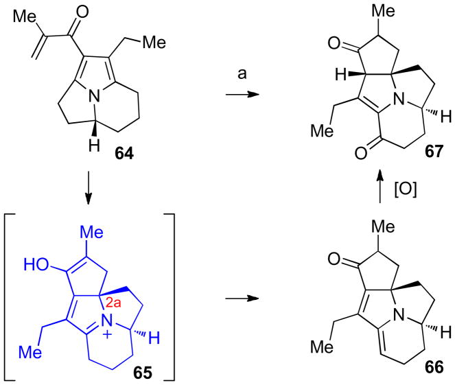 Scheme 13