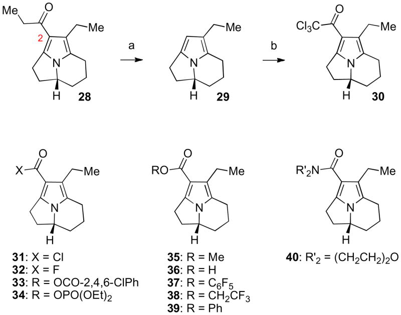 Scheme 6