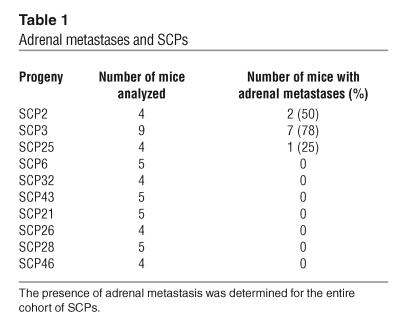 graphic file with name JCI0522320.t1.jpg