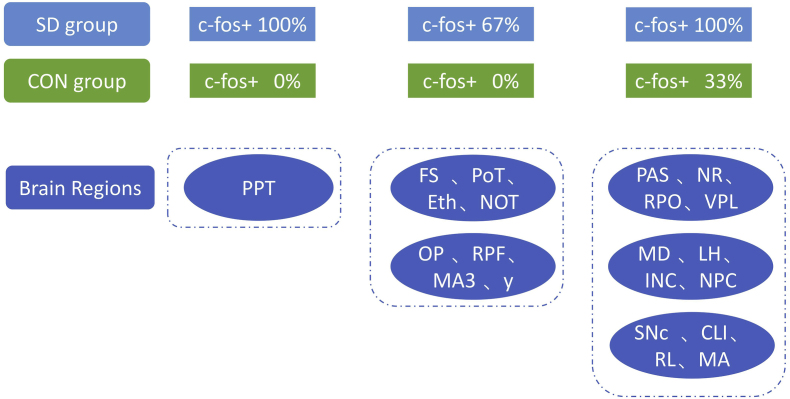 Fig. 10