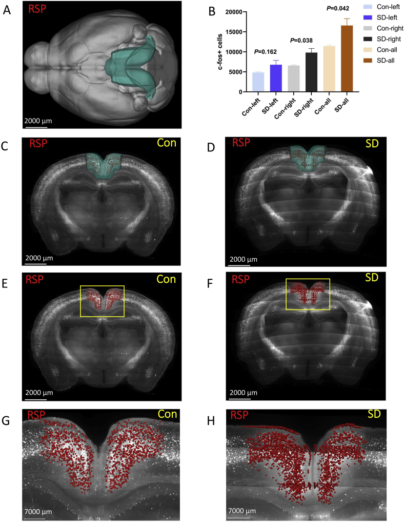 Fig. 8