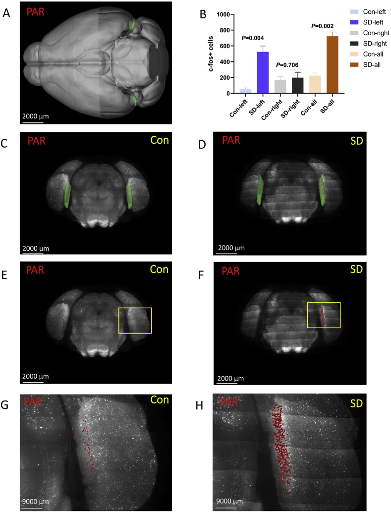 Fig. 9