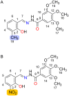 Scheme 1