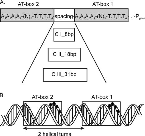 FIG. 1.