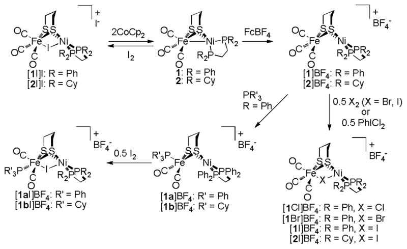 Scheme 1