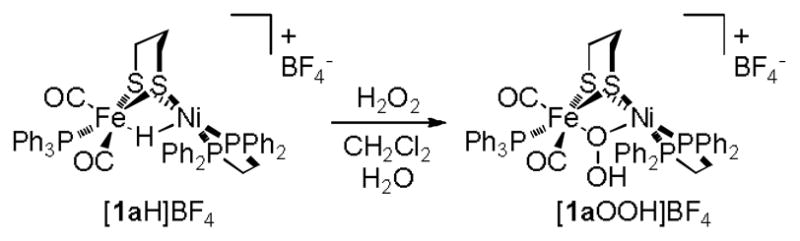 Scheme 3