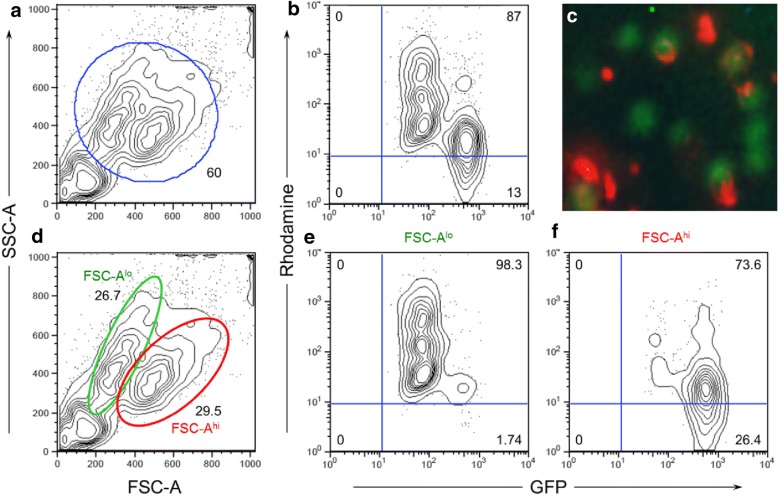 Fig. 4