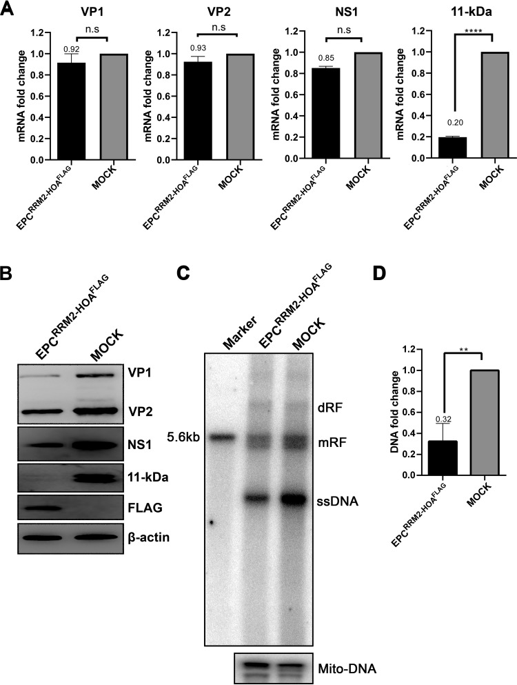 FIG 7