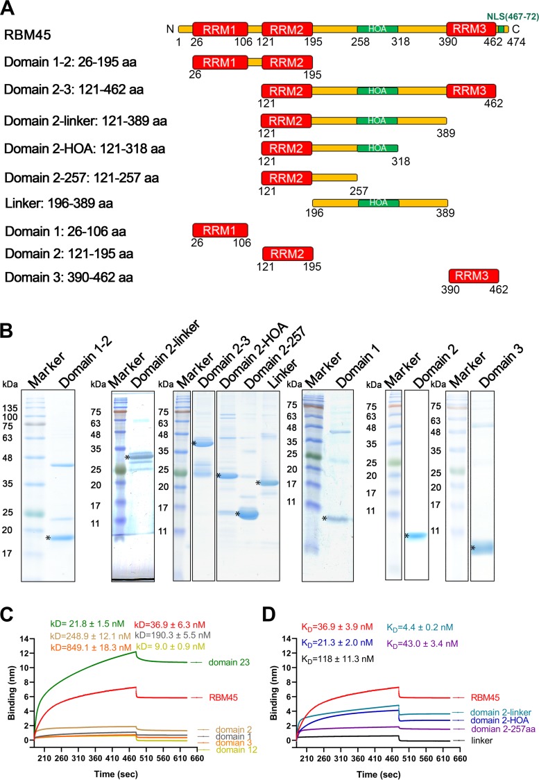 FIG 6