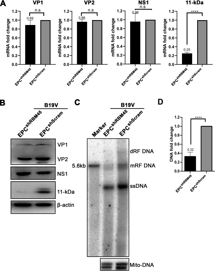 FIG 3