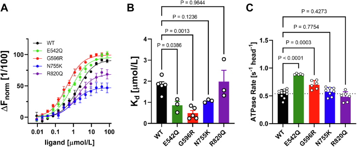 Figure 4