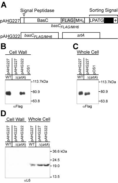 FIG. 6.