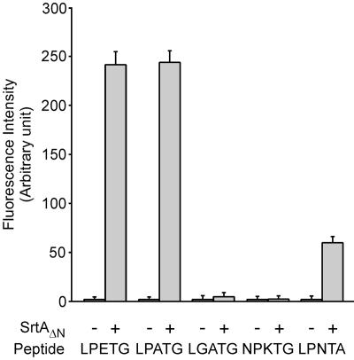 FIG. 5.