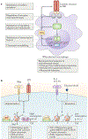 Fig. 2 |