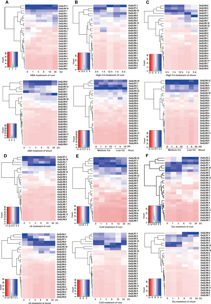 Figure 3