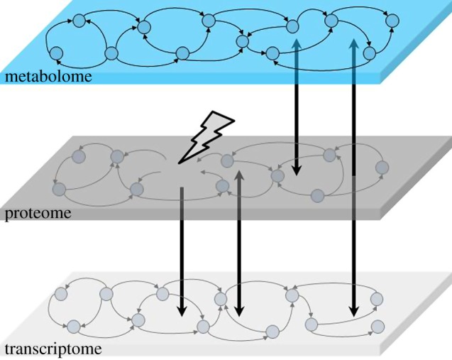 Figure 1.