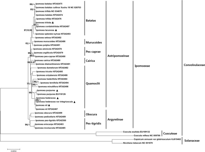 FIGURE 6