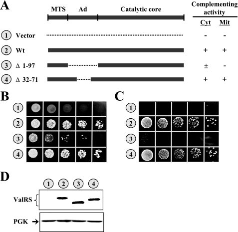 FIGURE 2.