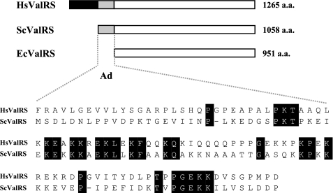 FIGURE 1.