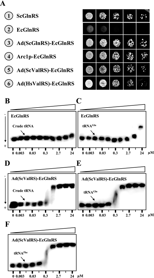 FIGURE 5.