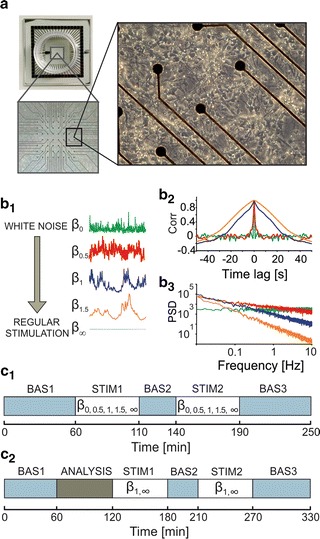 Fig. 1