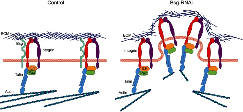 Figure 10.