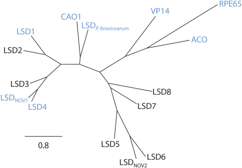 Figure 2