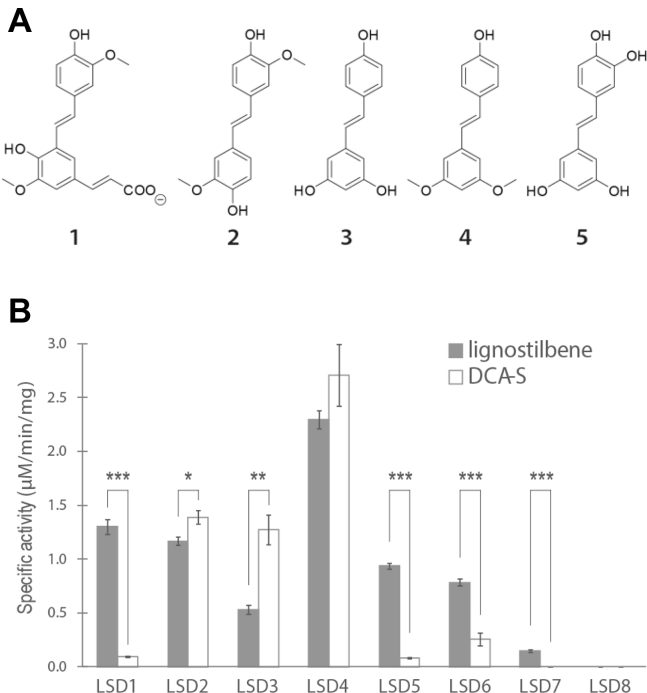 Figure 3