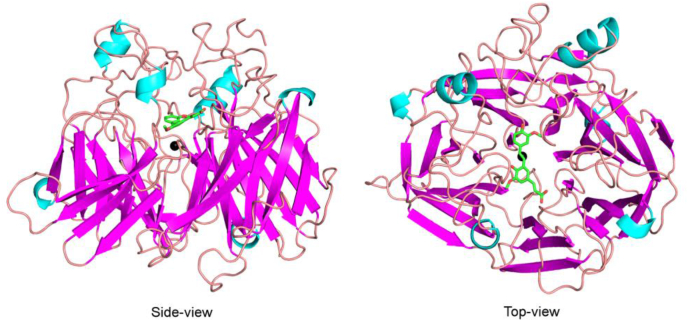 Figure 5