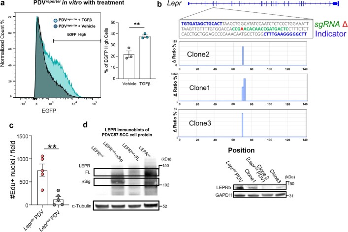 Extended Data Fig. 6