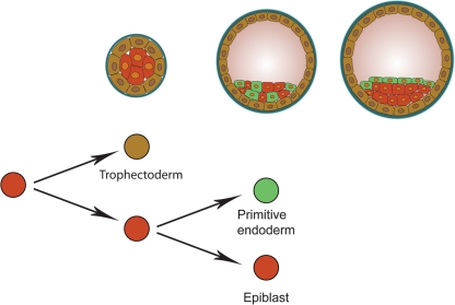 Figure 3